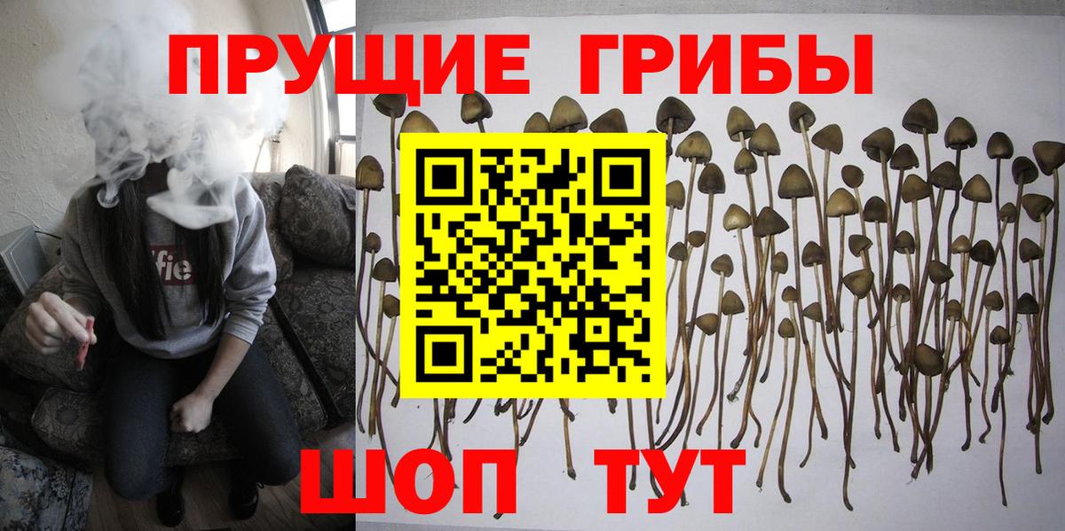 Галлюциногенные грибы Cubensis  Вход с VPN  Галлюциногенные грибы Psilocybe  Воткинск 